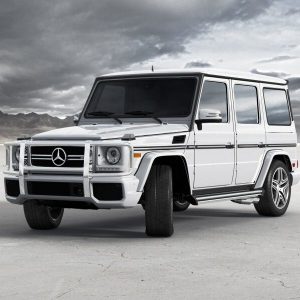 G63/550/500 (W463)